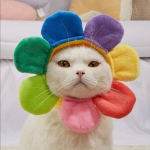 “Shower me with your Love” Flower Designed Pet Headwear